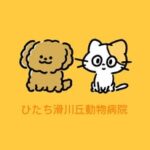 ひたち滑川丘動物病院🐶🐾